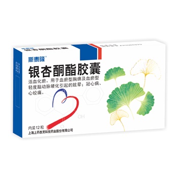 銀杏酮酯膠囊 銀杏酮酯膠囊